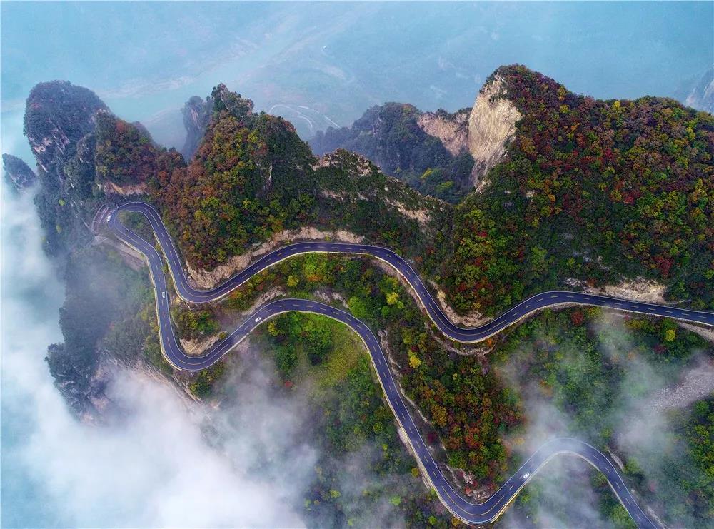 深秋的云台山漫山“花”开！摄影师都疯狂了！