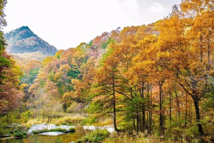 没错！这些古诗写的就是白云山
