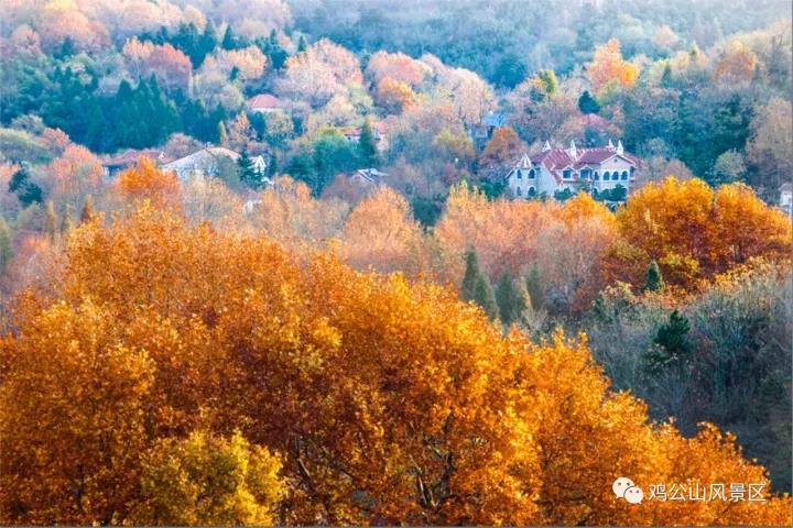 我们在鸡公山等您 |“老家河南”的360°精彩将在信阳揭晓