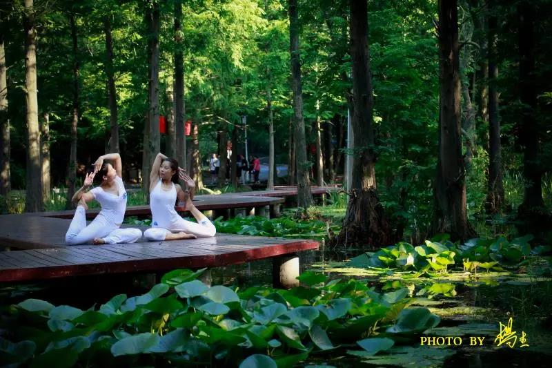 我们在鸡公山等您 |“老家河南”的360°精彩将在信阳揭晓