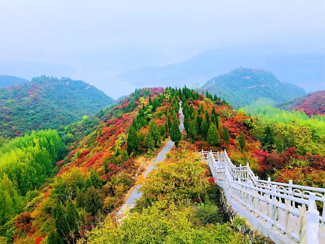 洛阳荆紫仙山景区红叶最佳观赏期还有一周哟~~