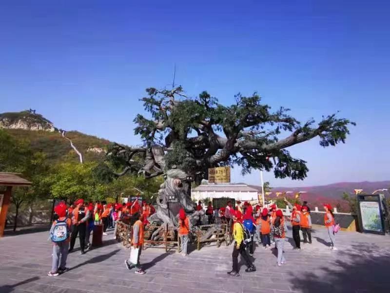 两万孩子在黄河三峡的研学收获