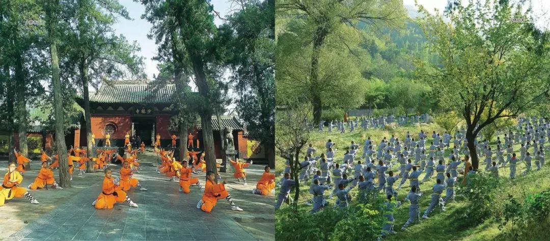 重磅！首批省级森林城市名单公布，登封上榜！