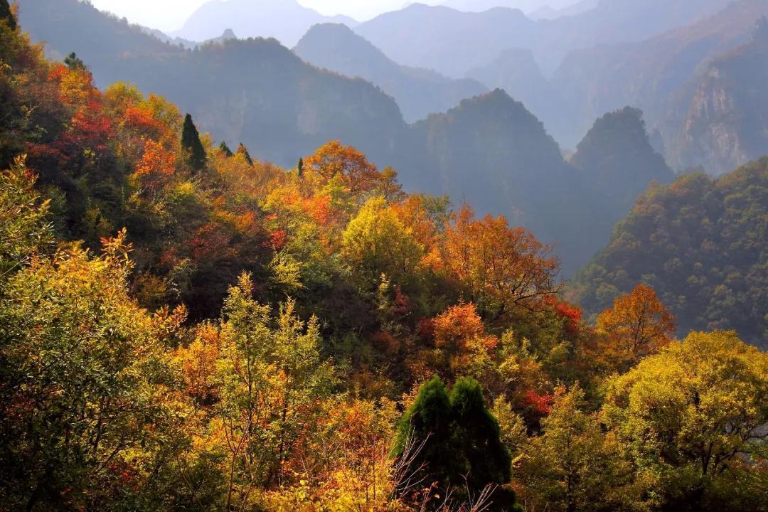 @所有人，云台山喊你来补水！