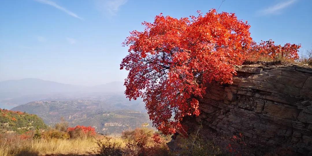 洛阳荆紫仙山红叶、千年古村落在金秋唯美相遇~~
