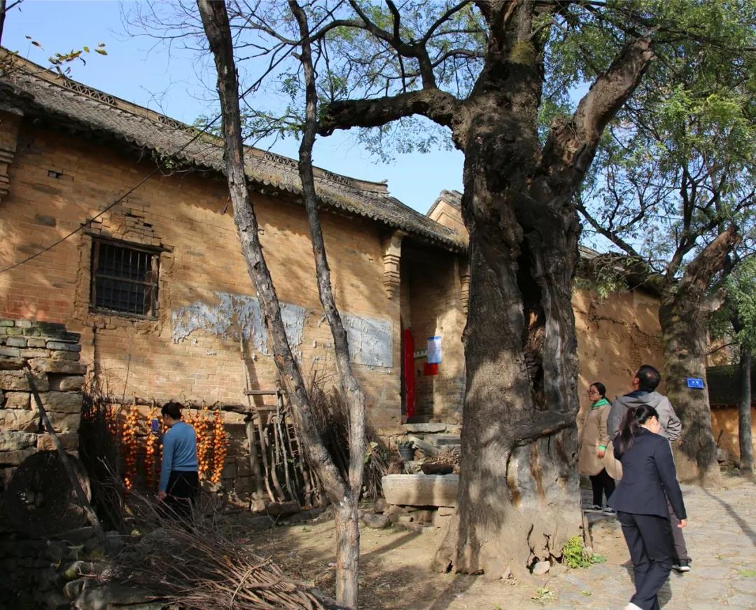 洛阳荆紫仙山红叶、千年古村落在金秋唯美相遇~~