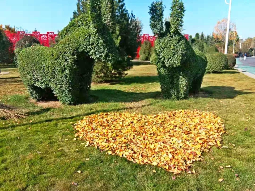 郑州绿博园用落叶刻画出别样美景！