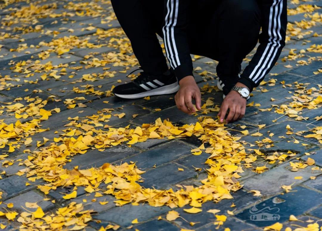 1500年的颜色是什么样，少林寺的银杏树会告诉你