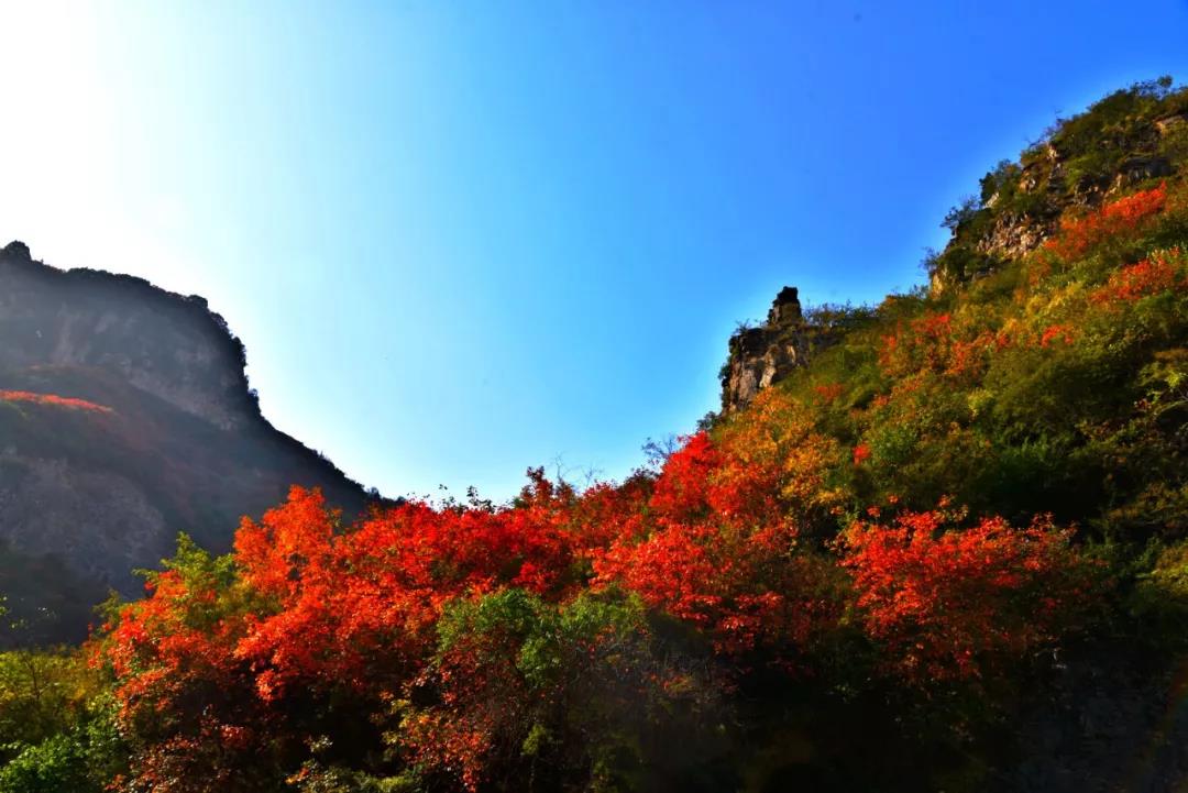 深秋初冬，邂逅最美浮戏山