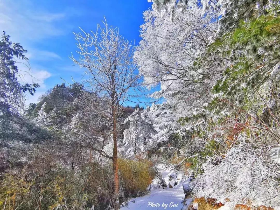 雪后白云山，每一处都美到让你怀疑人生！