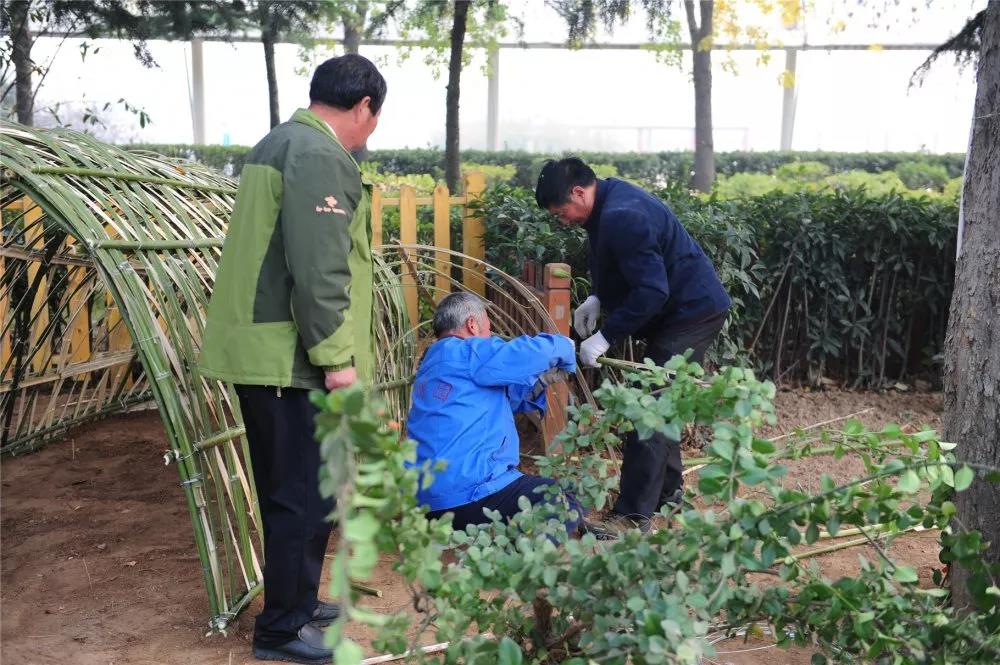 冬月绿博园，绿色小景观赏不停！