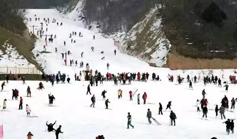 老界岭滑雪场开业在即！百万现金大回馈·······