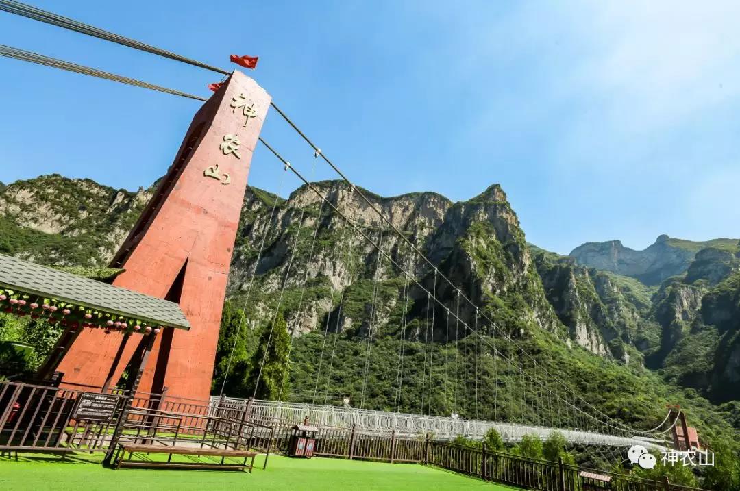 神农山玻璃桥周年庆，桥票免费送！车票免费送！！！