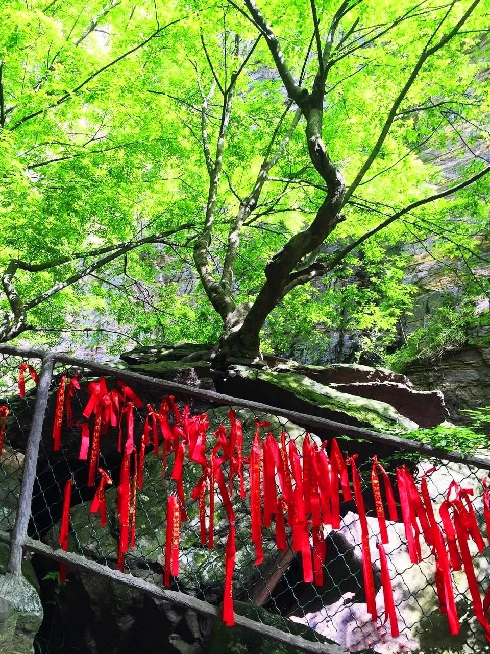 洛阳龙潭大峡谷景区系列宣传片（第15期）海枯石烂