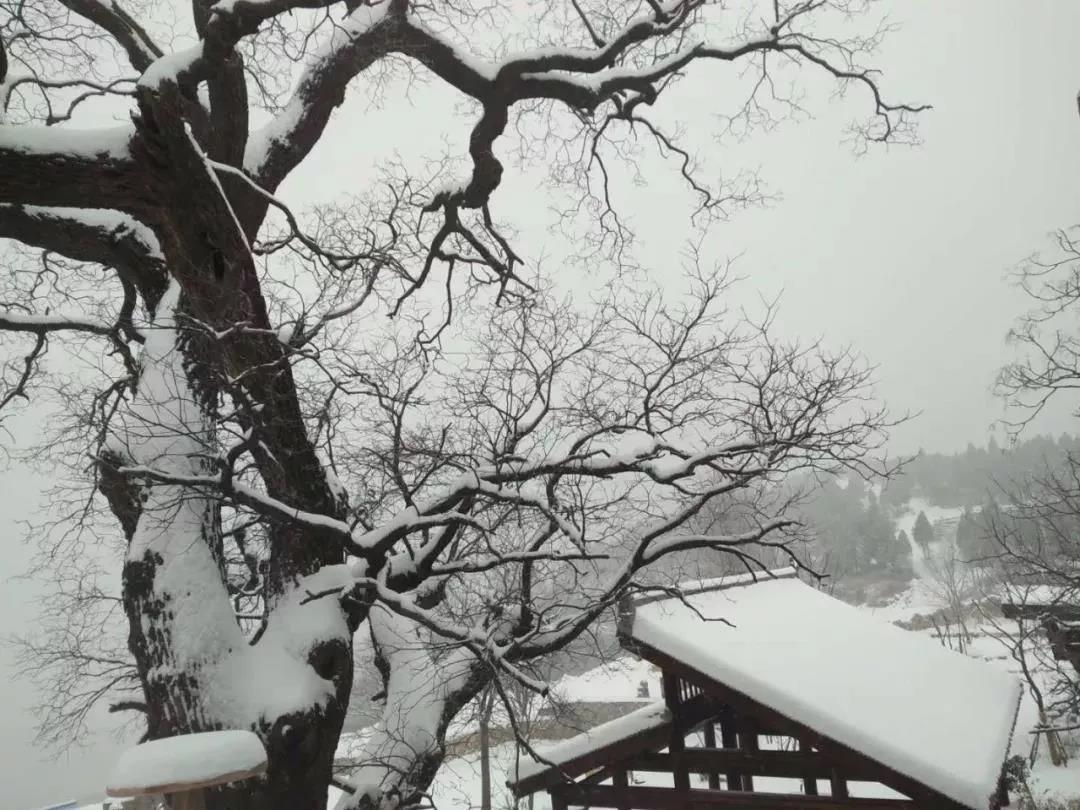 旖旎风光里，你是哪种云台山控？