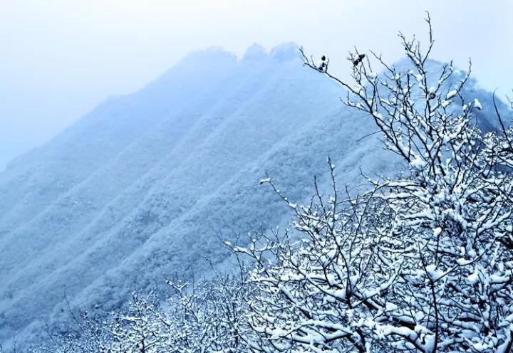 【寻古探秘青天河】青天河月山寺两大千古之谜，你知道吗？