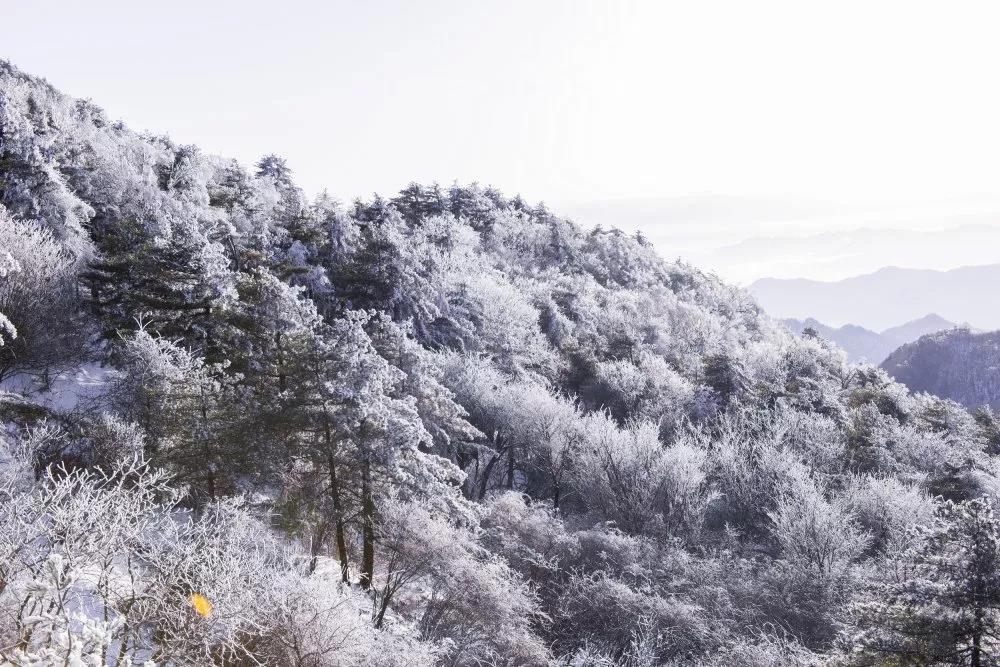 即将迎来降雪，尧山与冰雪世界环环相扣！