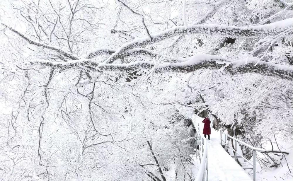 即将迎来降雪，尧山与冰雪世界环环相扣！