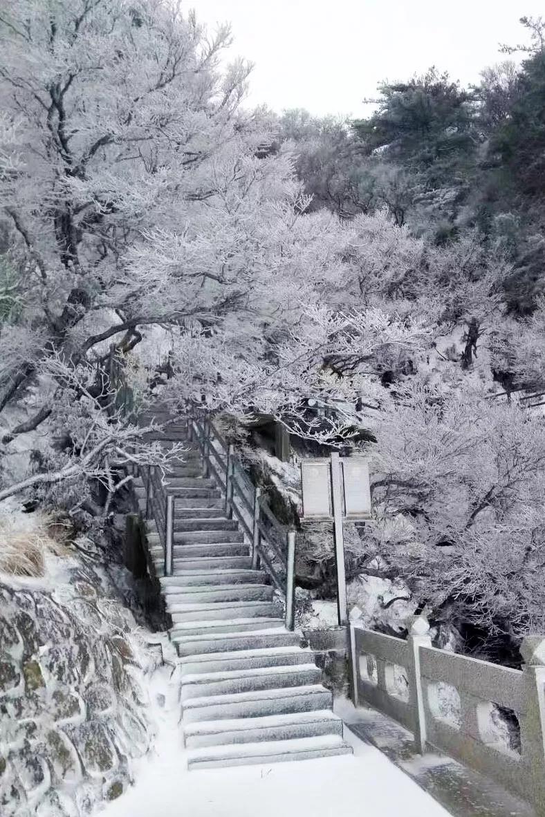 即将迎来降雪，尧山与冰雪世界环环相扣！