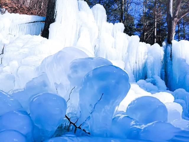 比2020年第一场雪更让人兴奋的是......