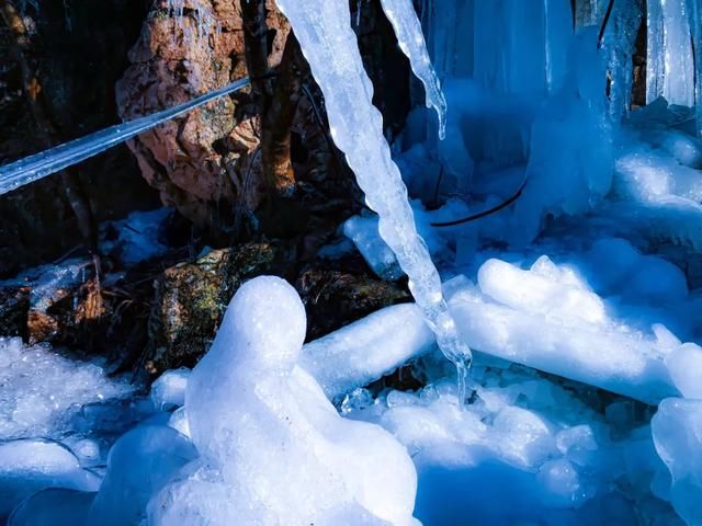 比2020年第一场雪更让人兴奋的是......