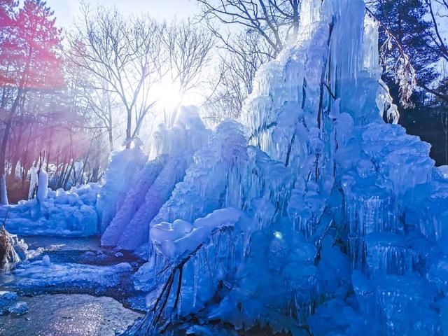 比2020年第一场雪更让人兴奋的是......