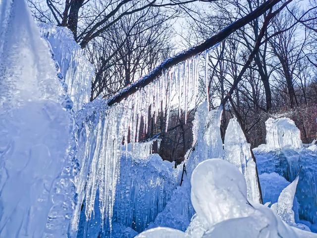 比2020年第一场雪更让人兴奋的是......