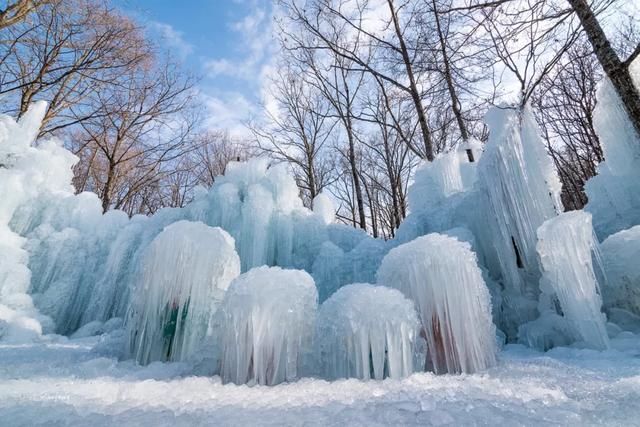 比2020年第一场雪更让人兴奋的是......
