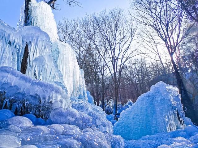 比2020年第一场雪更让人兴奋的是......