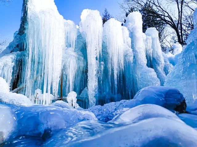 比2020年第一场雪更让人兴奋的是......