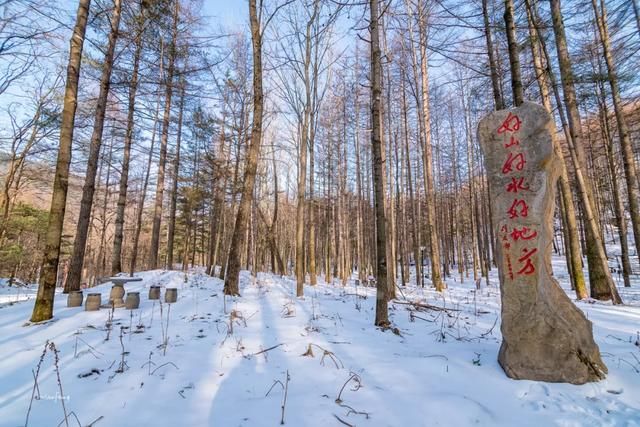 比2020年第一场雪更让人兴奋的是......