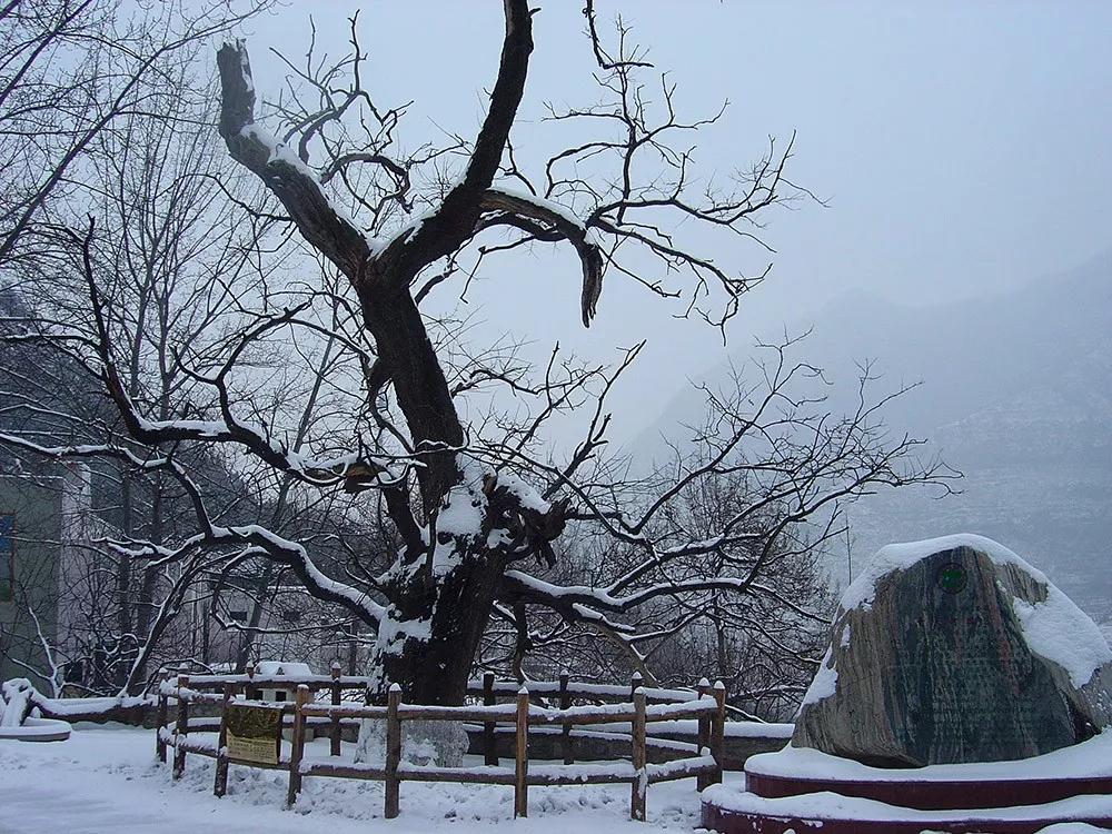 【寻古探秘青天河】曹操曾来过青天河！  青天河风景区  昨天