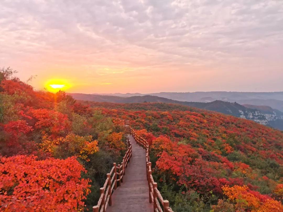 【寻古探秘青天河】曹操曾来过青天河！  青天河风景区  昨天