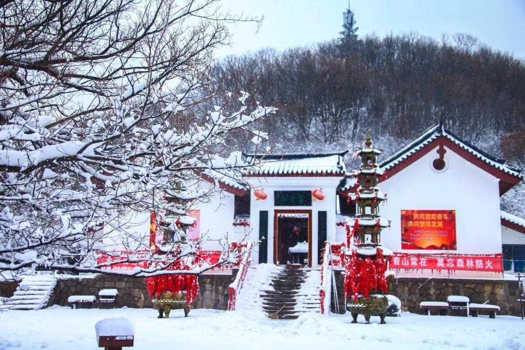 2020年首场大雪降落云台山,一步走进白色童话世界！