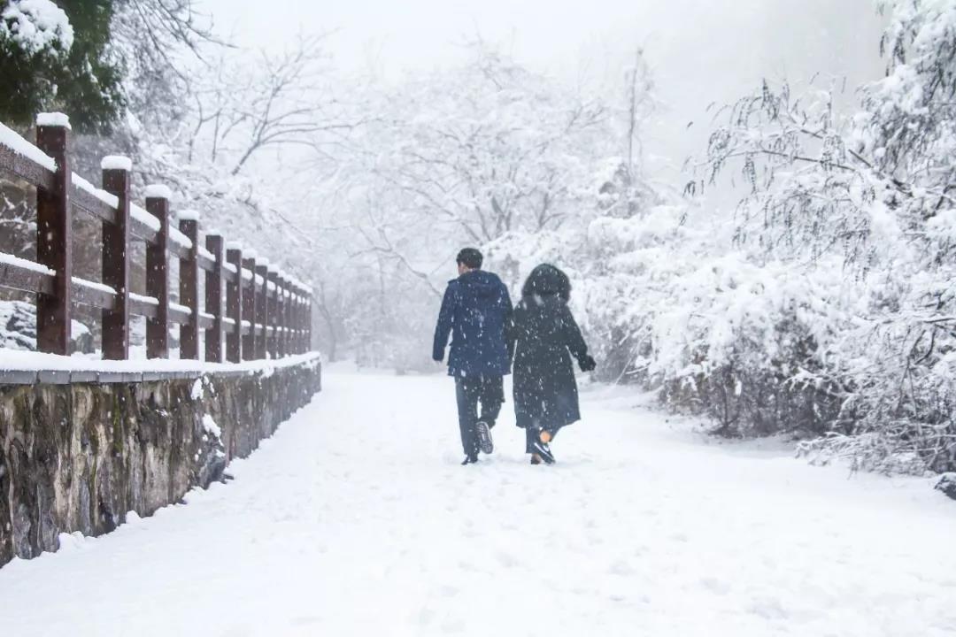 2020年首场大雪降落云台山,一步走进白色童话世界！