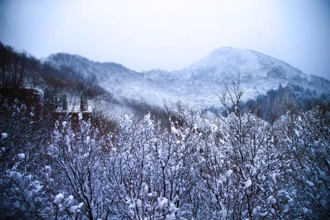 2020年首场大雪降落云台山,一步走进白色童话世界！
