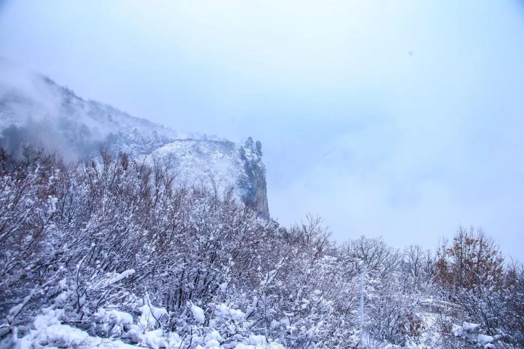 2020年首场大雪降落云台山,一步走进白色童话世界！