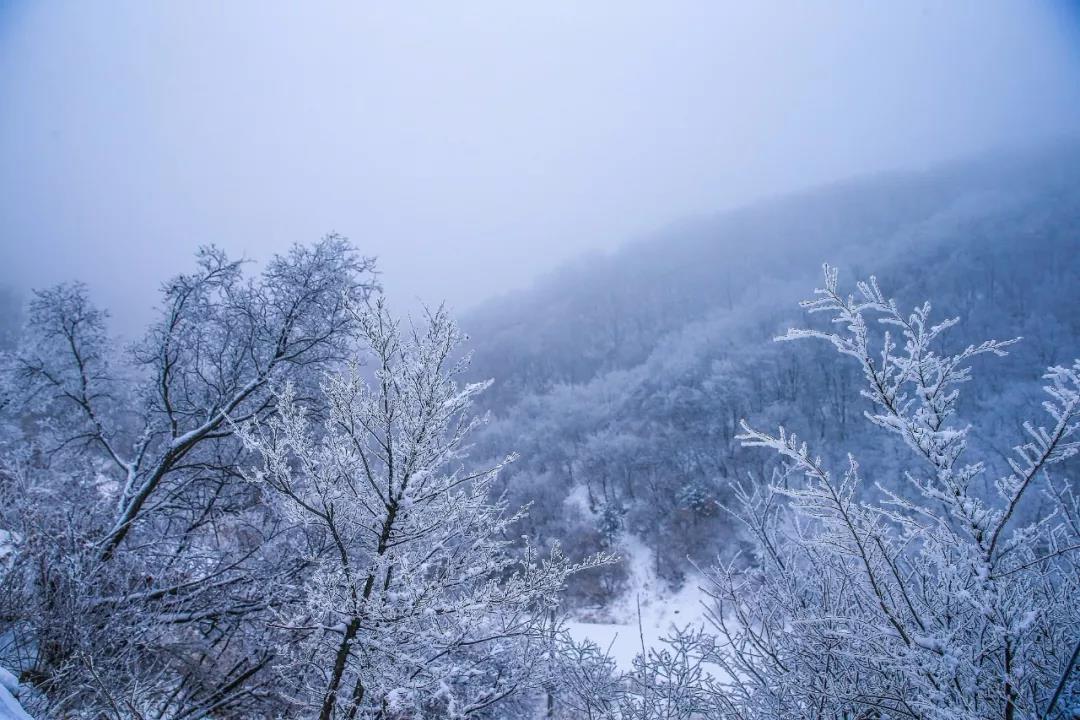 2020年首场大雪降落云台山,一步走进白色童话世界！