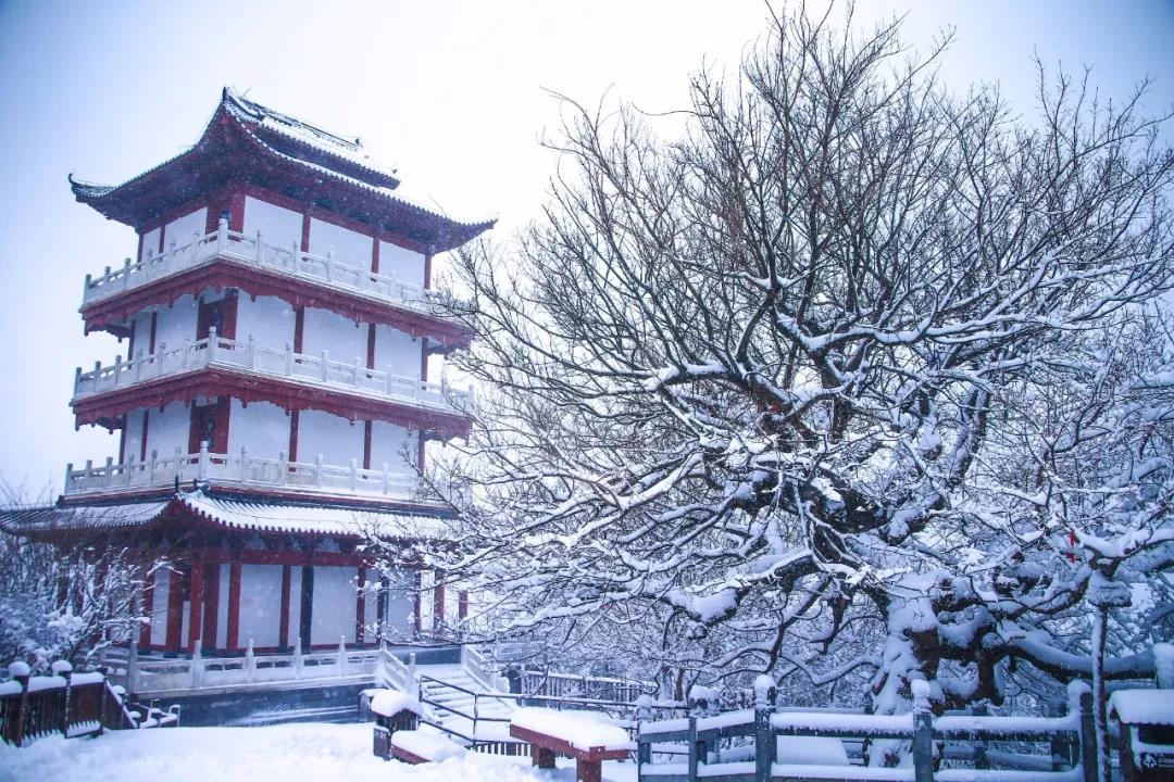 2020年首场大雪降落云台山,一步走进白色童话世界！