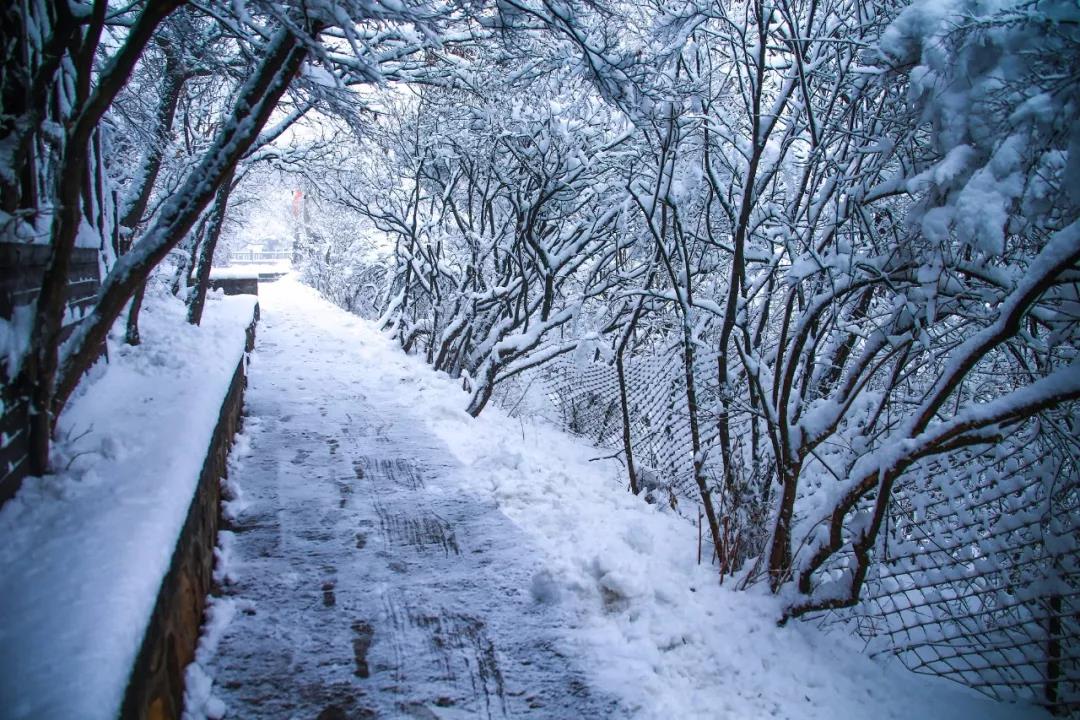 2020年首场大雪降落云台山,一步走进白色童话世界！