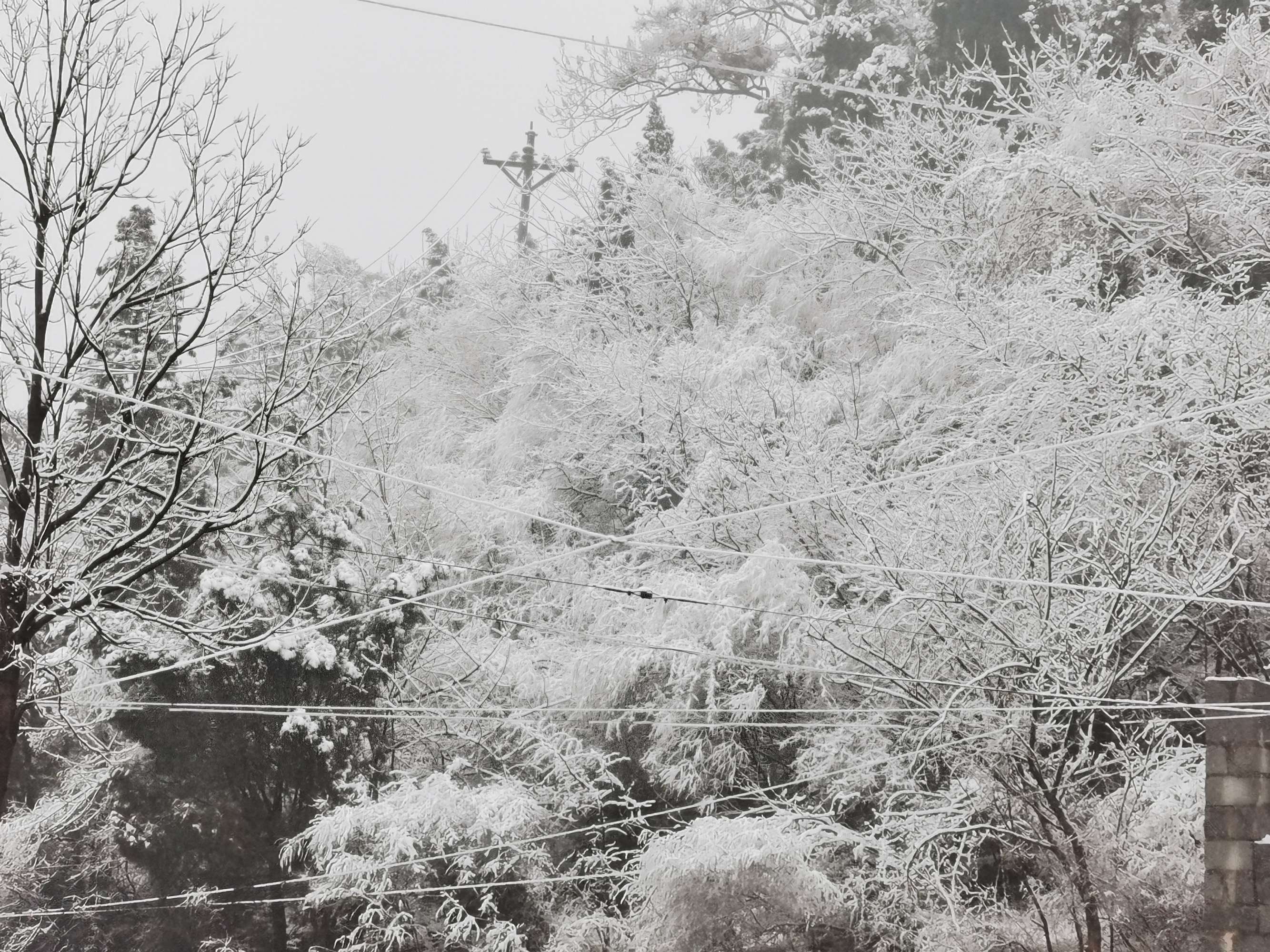 听说，雪后的长寿山是这么好看？