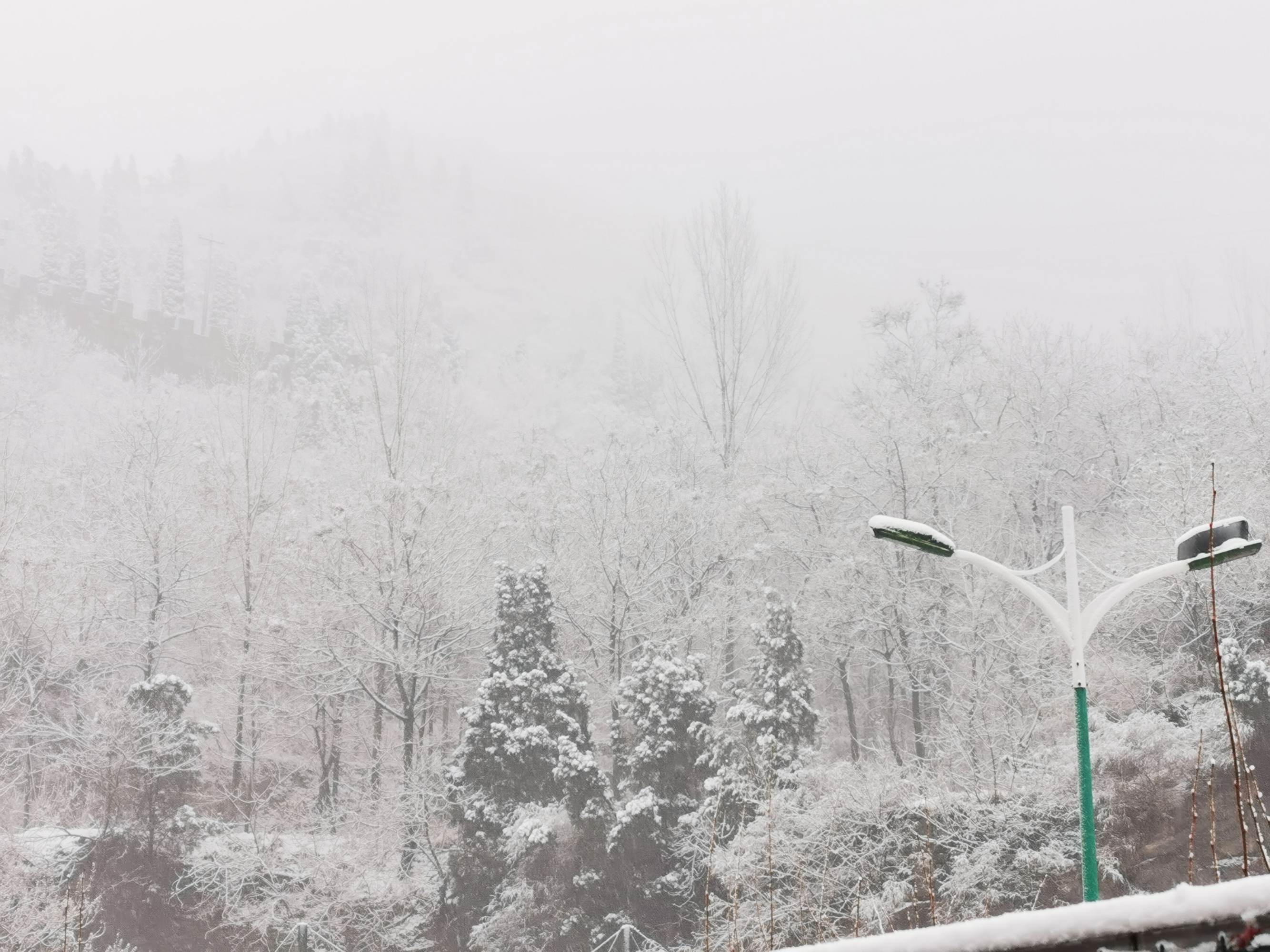 听说，雪后的长寿山是这么好看？