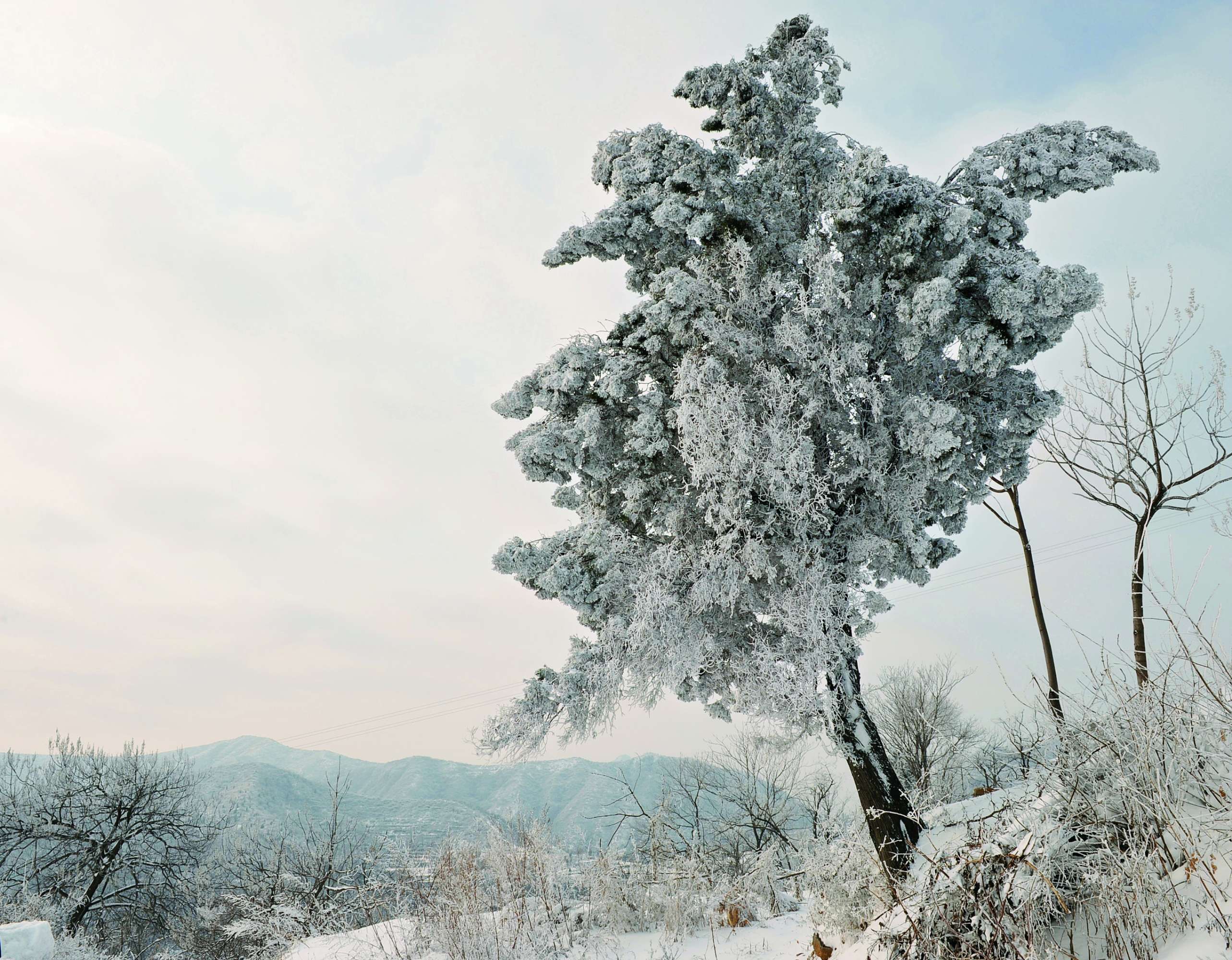听说，雪后的长寿山是这么好看？