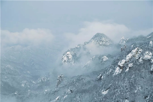 雪后的老君山美炸天，一大波雪景美图来袭！