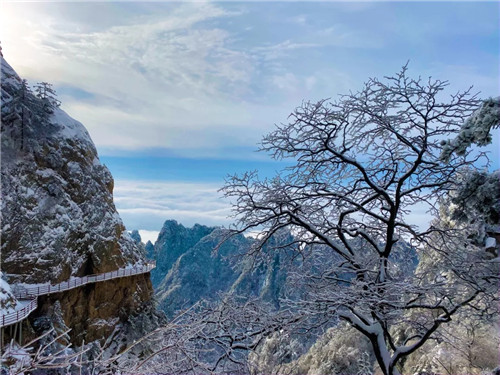 雪后的老君山美炸天，一大波雪景美图来袭！