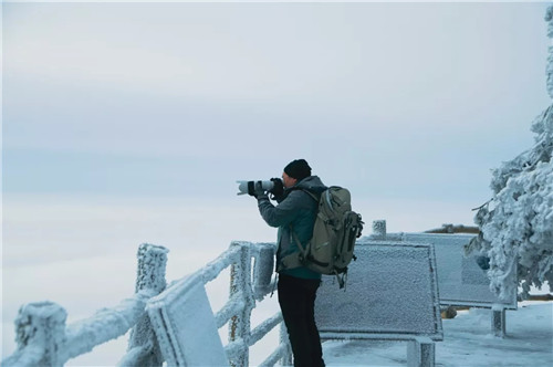 雪后的老君山美炸天，一大波雪景美图来袭！