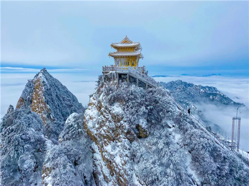 雪后的老君山美炸天，一大波雪景美图来袭！