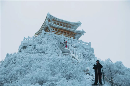 雪后的老君山美炸天，一大波雪景美图来袭！