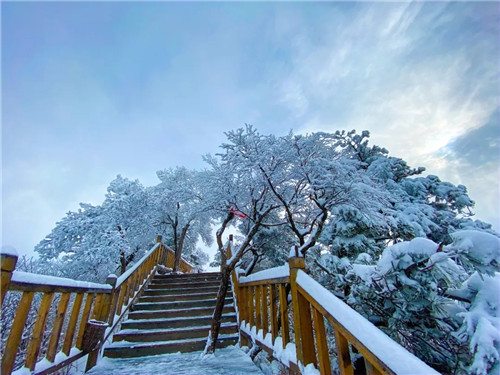 雪后的老君山美炸天，一大波雪景美图来袭！