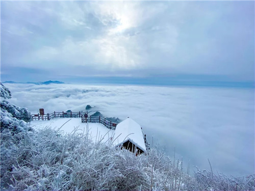 雪后的老君山美炸天，一大波雪景美图来袭！